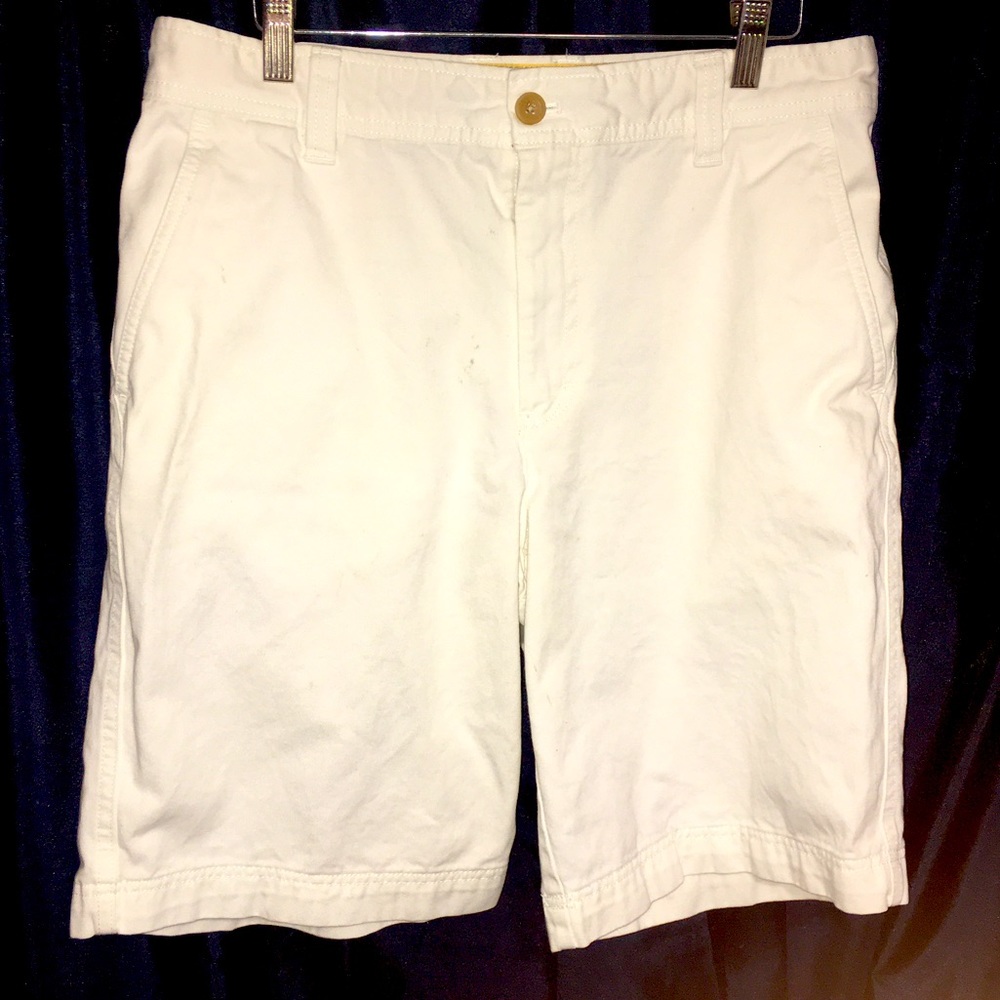 IZod Saltwater Shorts